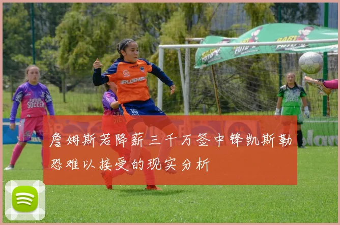詹姆斯若降薪三千万签中锋凯斯勒恐难以接受的现实分析